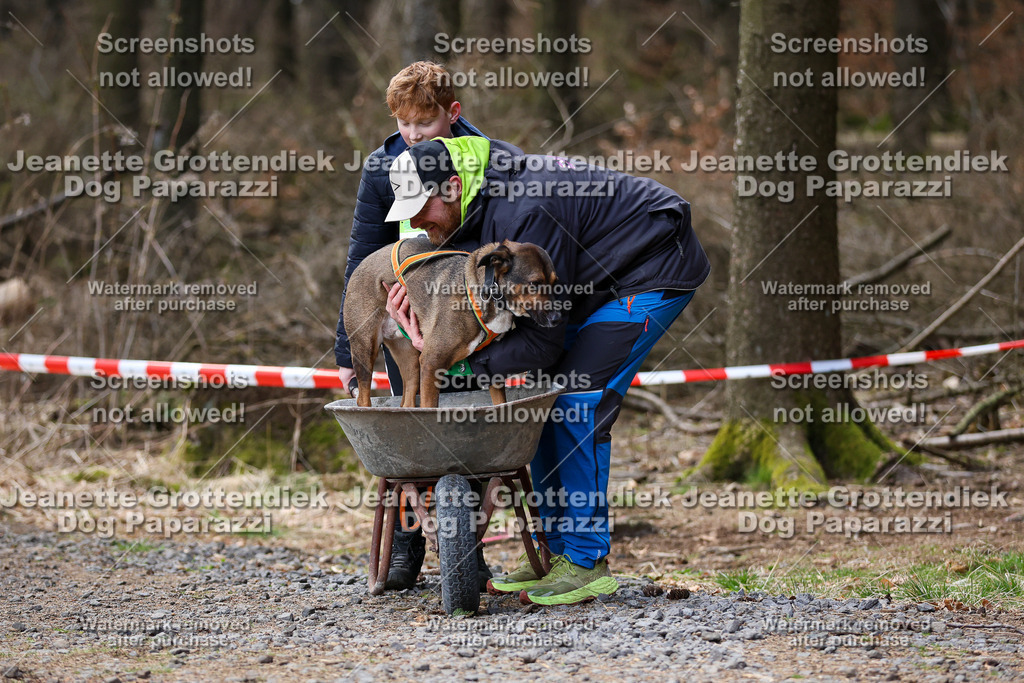 Dog Paparazzi - VCC26-716 | Dog Paparazzi Jeanette Grottendiek Fotografie & Videografie - Realisiert mit Pictrs.com
