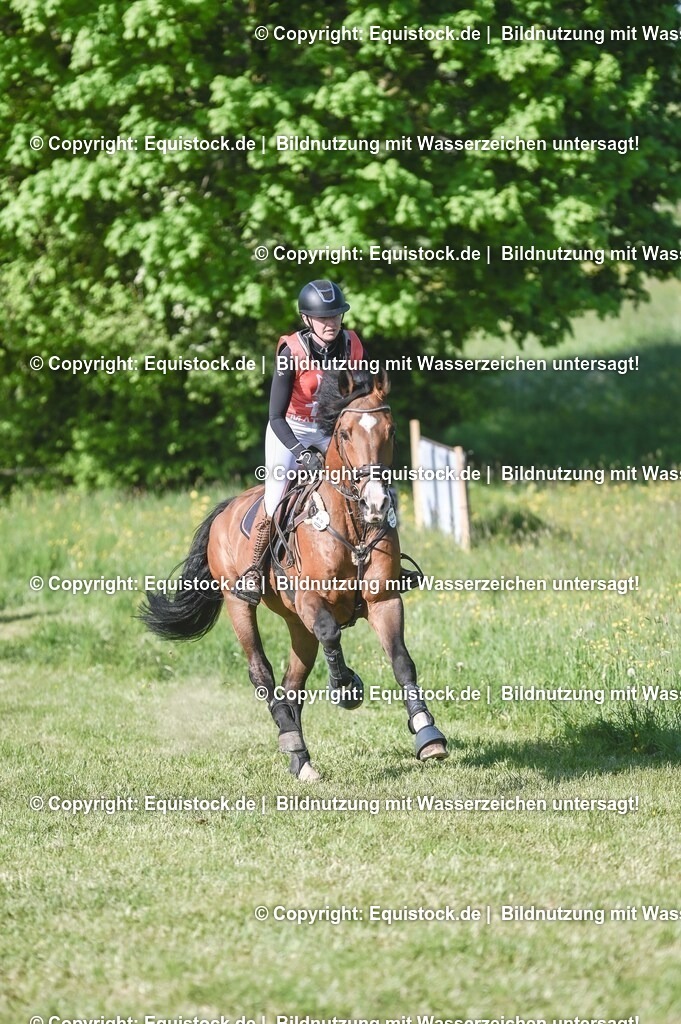 20250517_CCI2_Gelände_0421 | Foto: Thomas Hartig