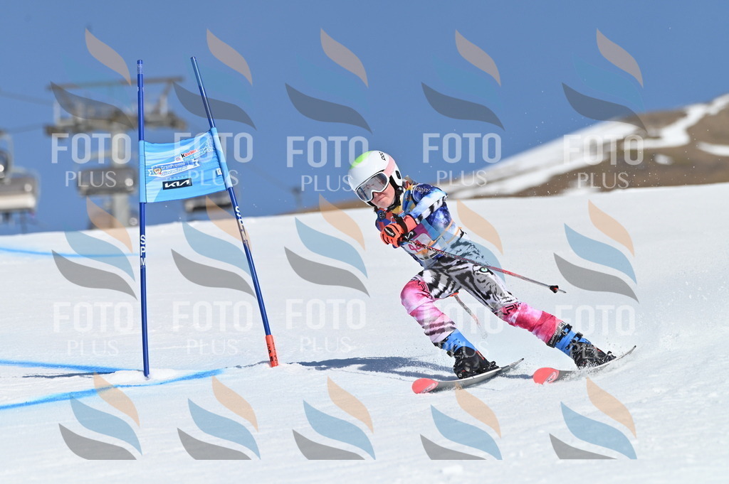 BGV_8427 | holidayphoto