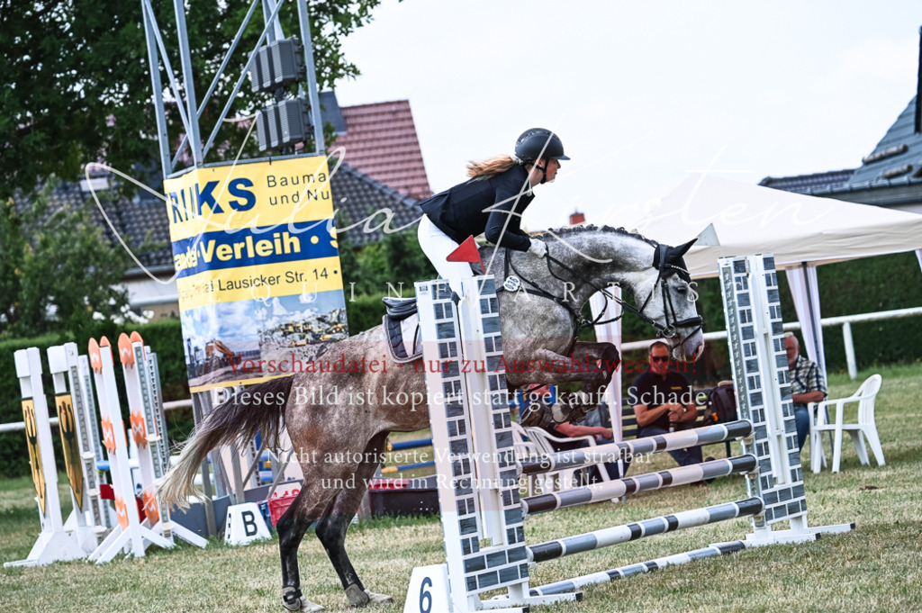 DSC_8937 | Pferde- und Turnierfotografie in Westsachsen. Pferdeportraits, Auftragszeichnungen und intuitive Kunst.