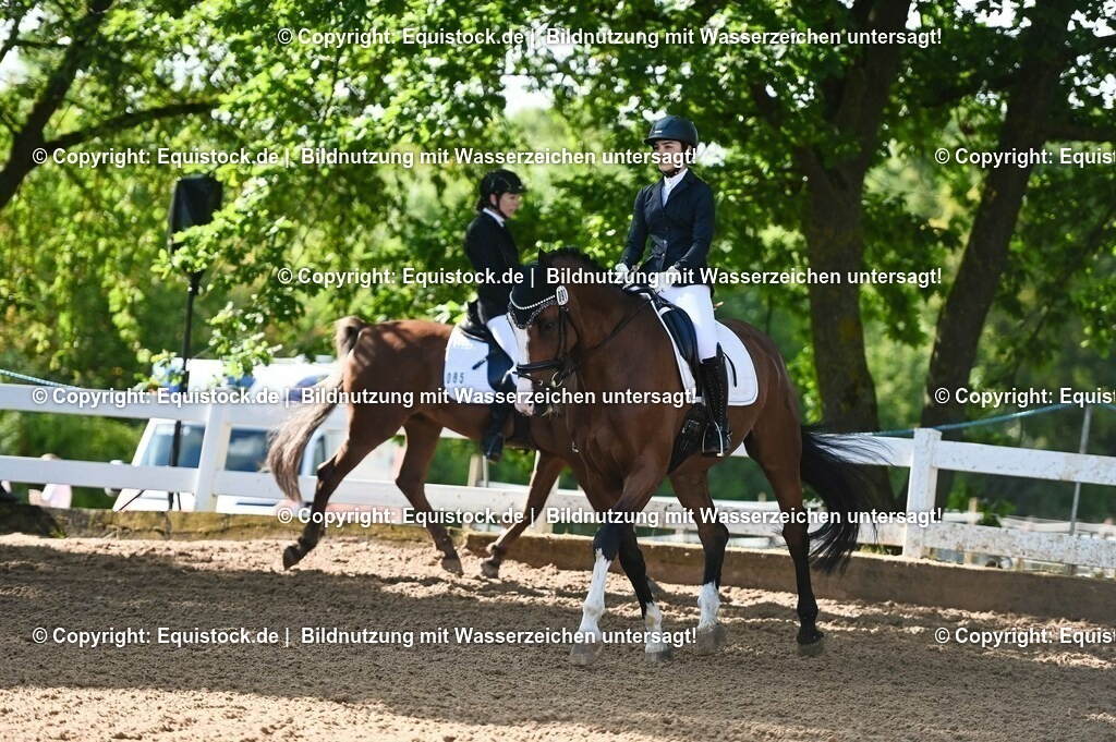 20230716_04_Dressurreiterprüfung Kl.A_0127 | equistock