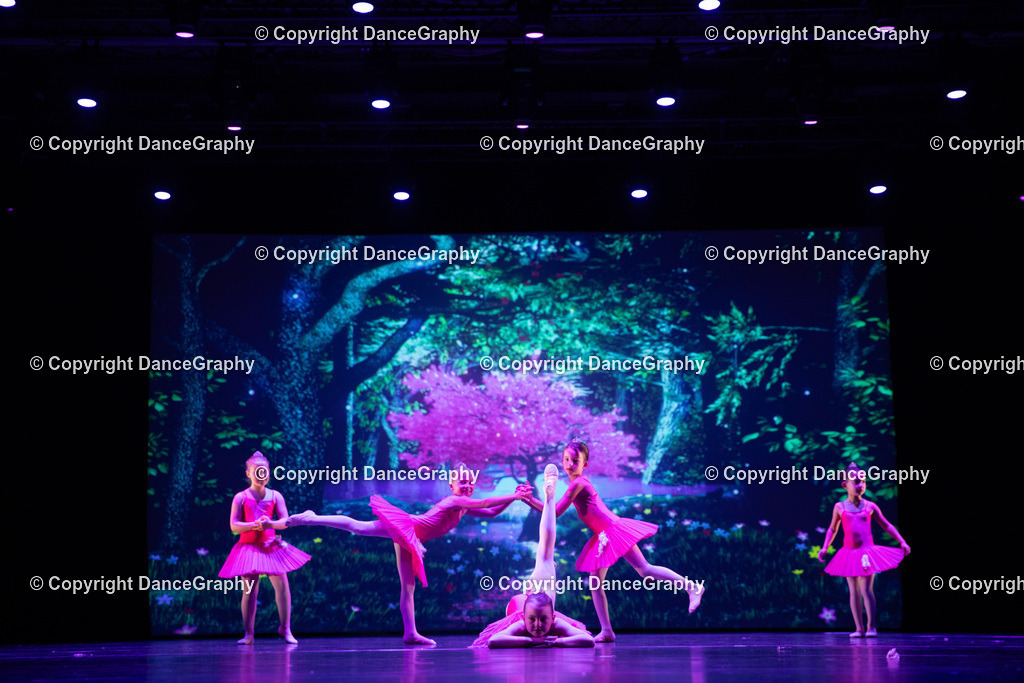 GPHY5032 | DanceGraphy - Realisiert mit Pictrs.com