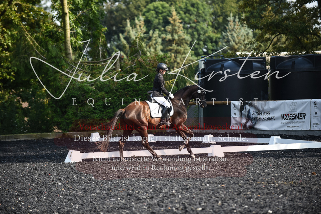 DSC_3192 | Pferde- und Turnierfotografie in Westsachsen. Pferdeportraits, Auftragszeichnungen und intuitive Kunst.