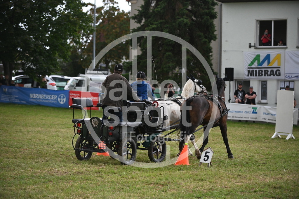 DSC_8488 | sattelsport - Realisiert mit Pictrs.com