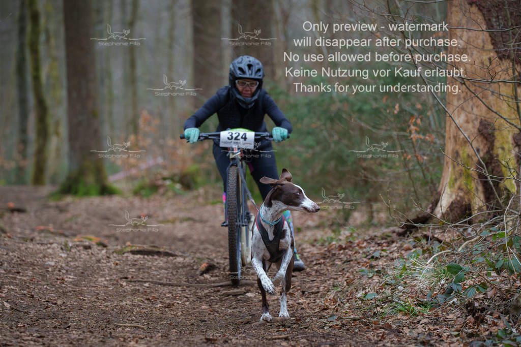 Scooter_So-97 | stephaniefillaphotographie - Realisiert mit Pictrs.com