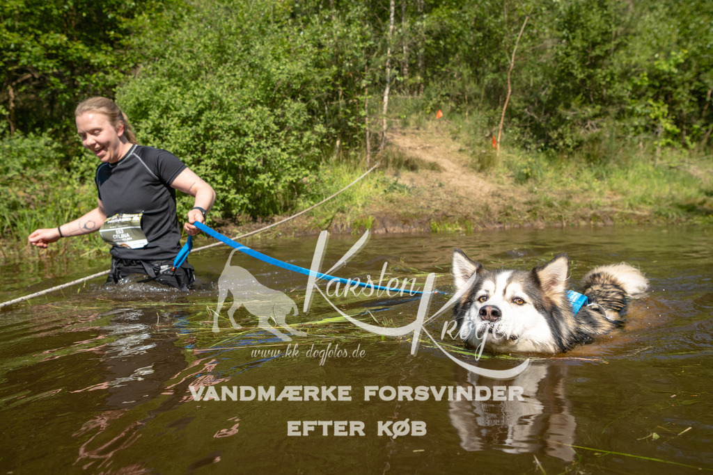 1016DKK990333 | kk-dogfotos