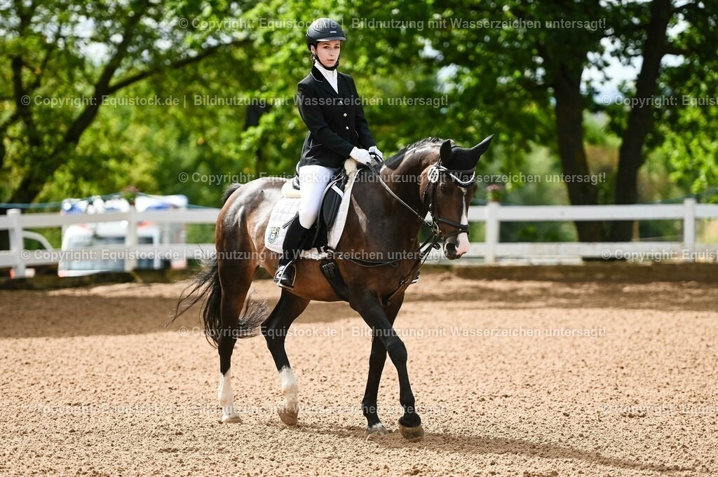 20230716_10-1_Reiter-WB Schritt - Trab - Galopp_0120 | equistock