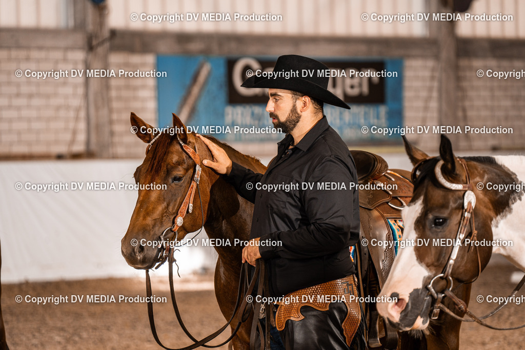 ZH100327 | dv-media-shop - Realisiert mit Pictrs.com