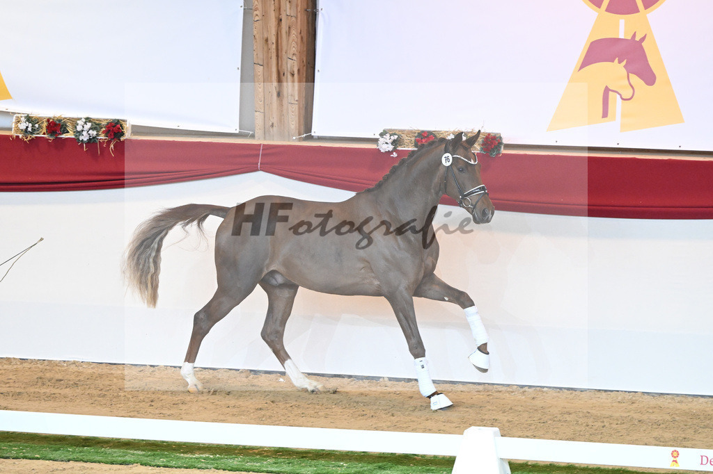 Kat-Nr. 76 Vitalis_Beckmann_1230470 | hf-fotografie - Realisiert mit Pictrs.com