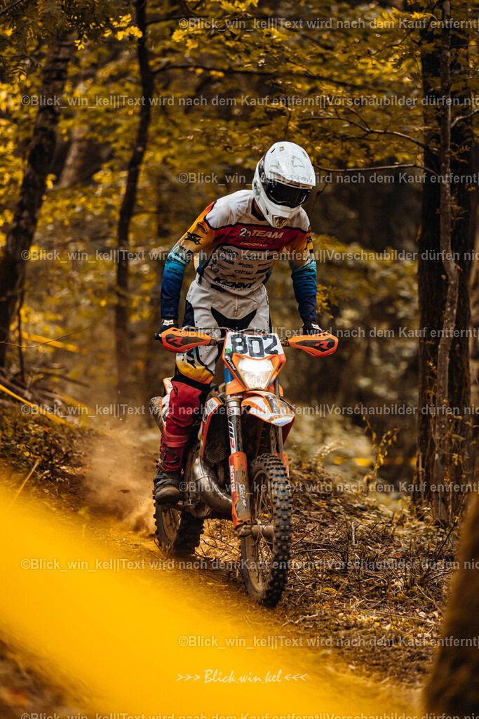 E68A3921 | blick_win_kel