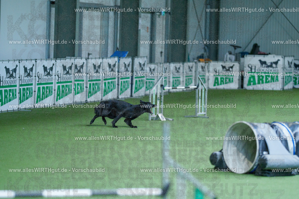 @allesWIRTHgut_Tierfotografie - www.allesWIRTHgut.de - 2604261406-7R503427 | Professionelle Tierfotografie in Mönchengladbach von Daniel Wirth (allesWIRTHgut). Liebevolle & natürliche Bilder von Hunden & Katzen für unvergessliche Erinnerungen.