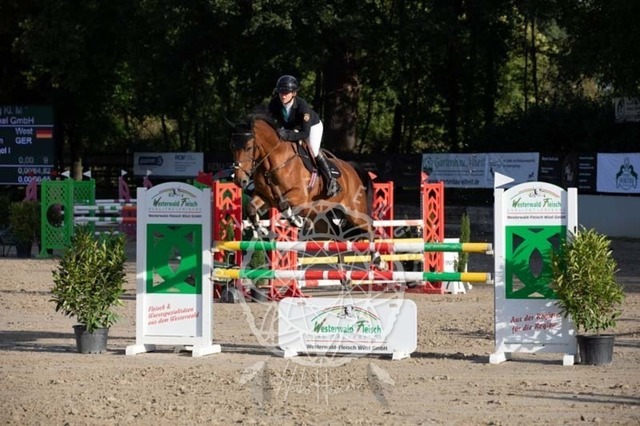 2B4A1000 | pixelfaenger - Realisiert mit Pictrs.com