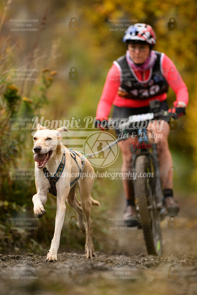 MompixPhotography_ICF_WC_2024_SA_Bike_-139 | PayLife