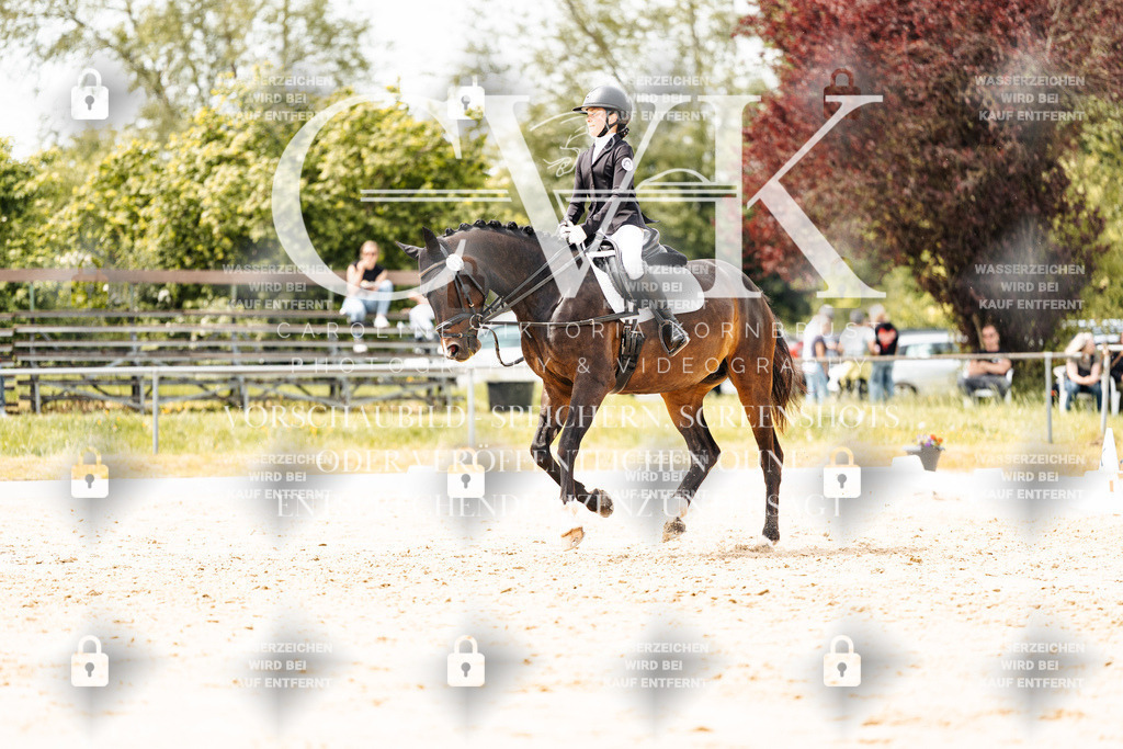 CK902572 | Turnierfotografie Pferdefotografie Trier Rheinland-Pfalz Pferdesport Reitsport Tierfotografie Sportfotografie Pferdevideo Pferdevideografie Equestrianvideography equestrianphotography  - Realisiert mit Pictrs.com