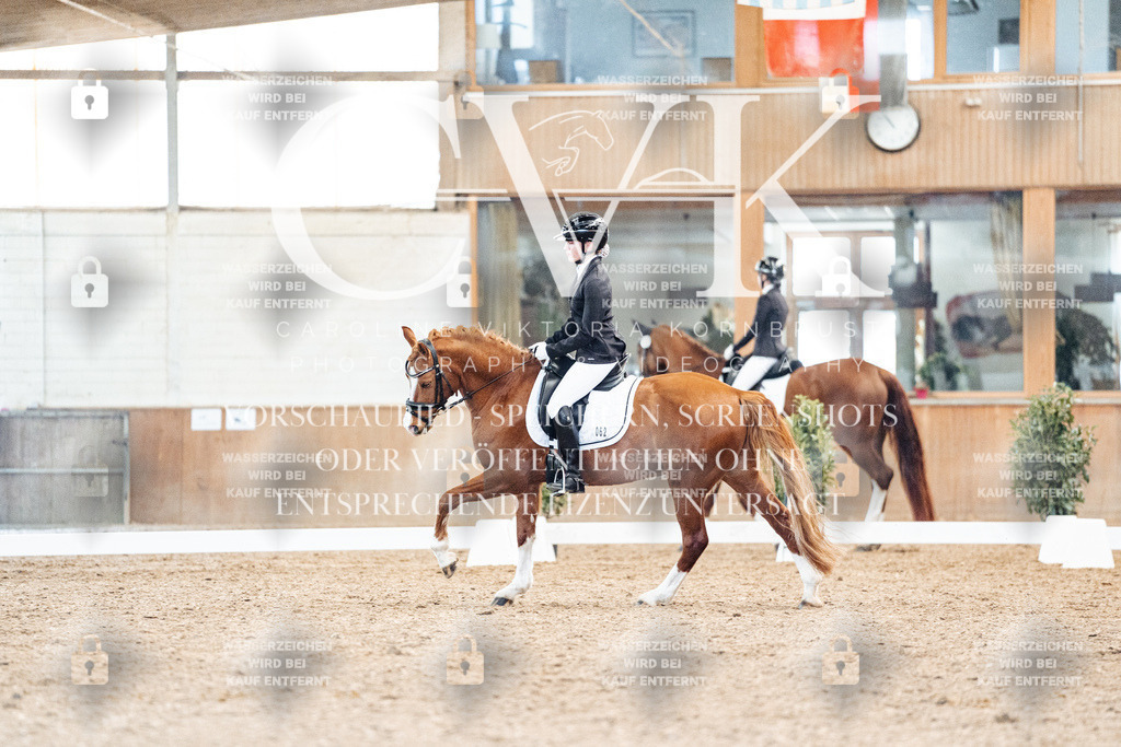 CK908924 | Turnierfotografie Pferdefotografie Trier Rheinland-Pfalz Pferdesport Reitsport Tierfotografie Sportfotografie Pferdevideo Pferdevideografie Equestrianvideography equestrianphotography  - Realisiert mit Pictrs.com