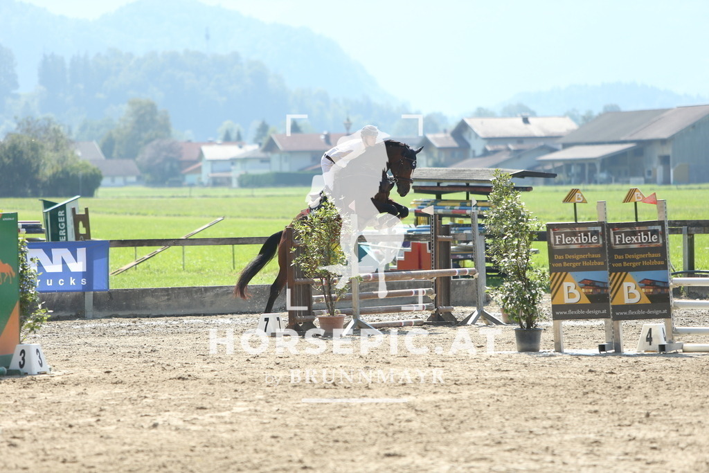 DL2Q2052 | Willkommen bei Brunnmayr - Design & Fotografie – Ihrem Spezialisten für Reitturniere und Pferdeveranstaltungen in Oberösterreich, Salzburg und Bayern! Seit über 17 Jahren sind wir leidenschaftlich dabei.