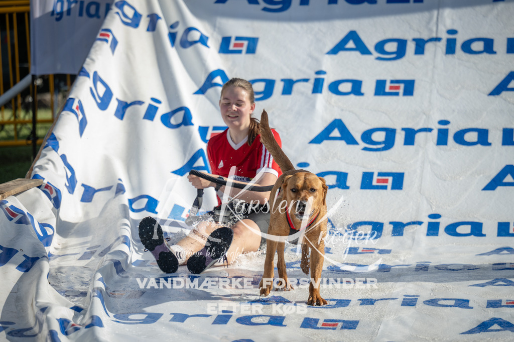 0938_ZZ96564 | kk-dogfotos