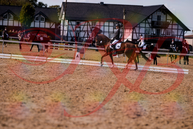 2026_10_03_Siefer-Hof_133143_Z81_86100751 | Professionelle Reitsport-, Turnier- und Eventfotografie von Robert Broda. Galerien mit ausgewählten und bearbeiteten Bildern direkt online ansehen und bestellen.