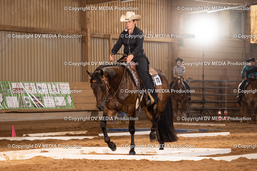 NID00588 | dv-media-shop - Realisiert mit Pictrs.com