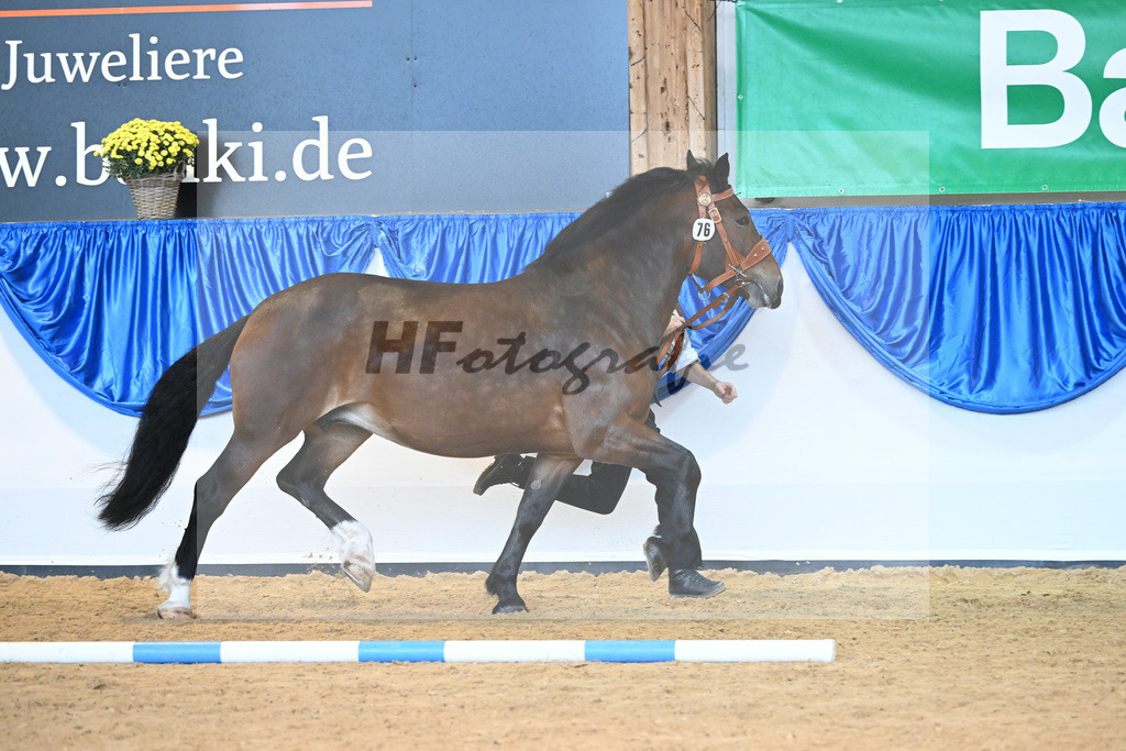 Kat-Nr. 76 Pipa_Gasteiger_53220363 | hf-fotografie - Realisiert mit Pictrs.com