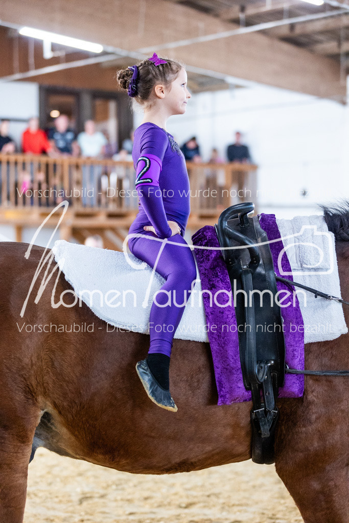 SS-Mini-228 | MomenTaufnahmen Pferdesportfotos