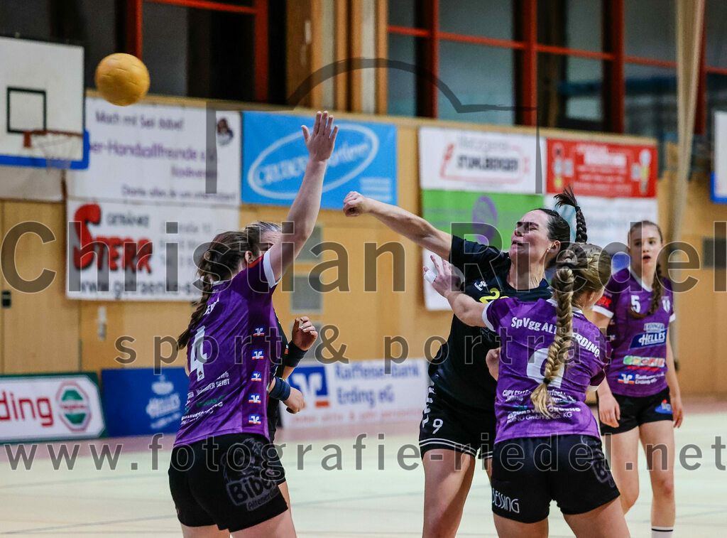 2023-12-17_073_SpVgg_Altenerding_II_gegen_HF_Scheyern | Erding, Deutschland, 17.12.2023:
Handball, Bezirksliga Frauen Altbayern 2023 / 2024, 9. Spieltag, SpVgg Altenerding II gegen HF Scheyern, Endergebnis: 22:26

Elena Sommer (SpVgg Altenerding, #4), Elisabeth Bauschmid (SpVgg Altenerding, #9)

Foto: Christian Riedel / fotografie-riedel.net