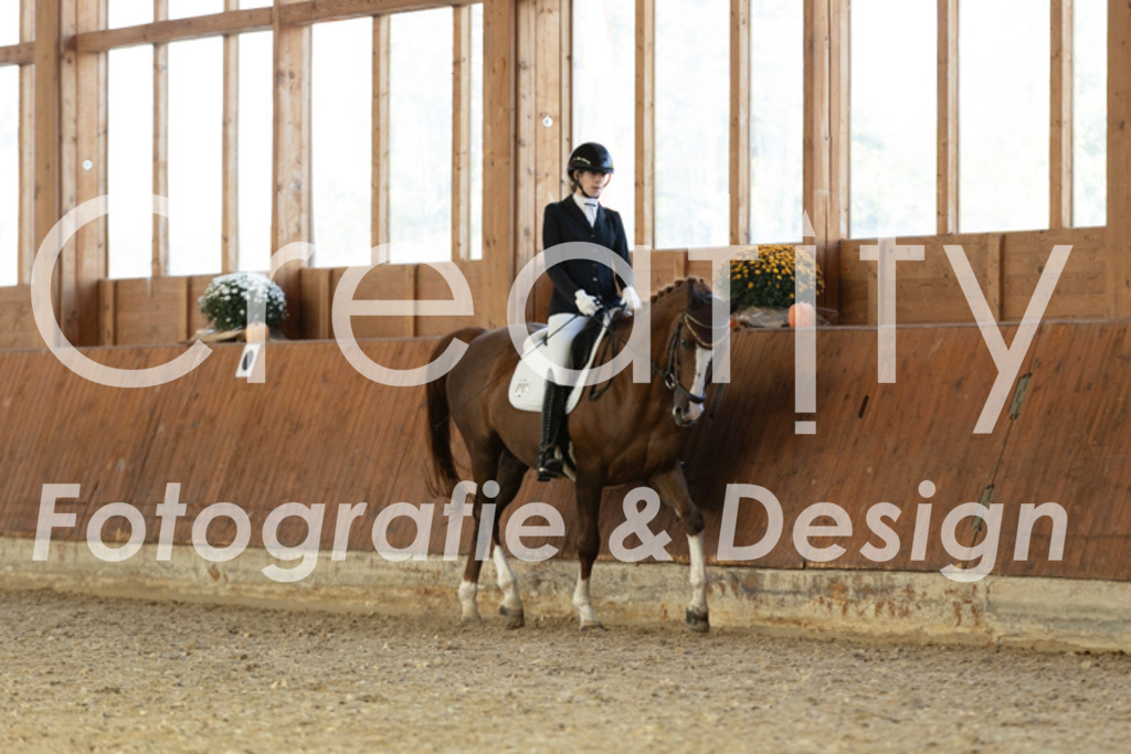 IMG_5216 | Creatify Fotografie