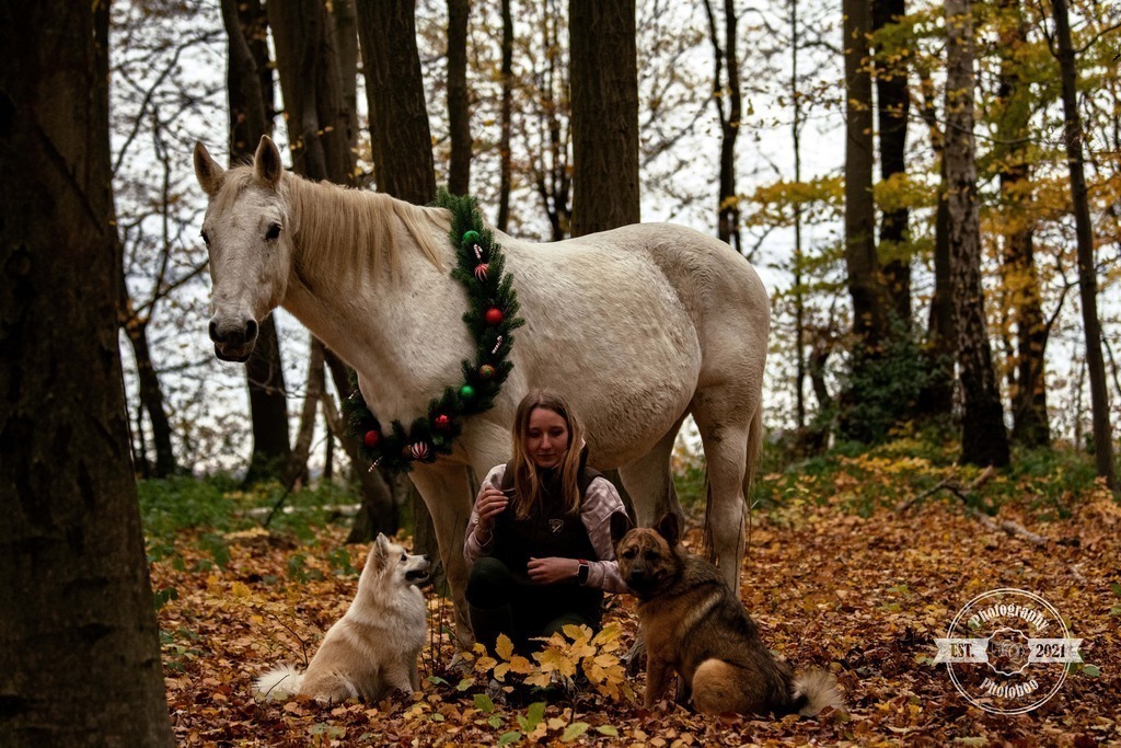 Lieblingsbilder_Photoboo_75 | Pferde- und Hundefotografie in Köln und Umgebung von Vanessza Csuka - Realisiert mit Pictrs.com