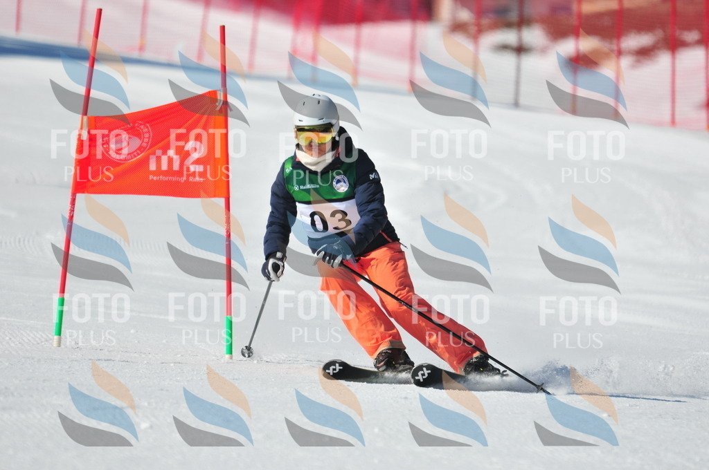 C2312 | holidayphoto