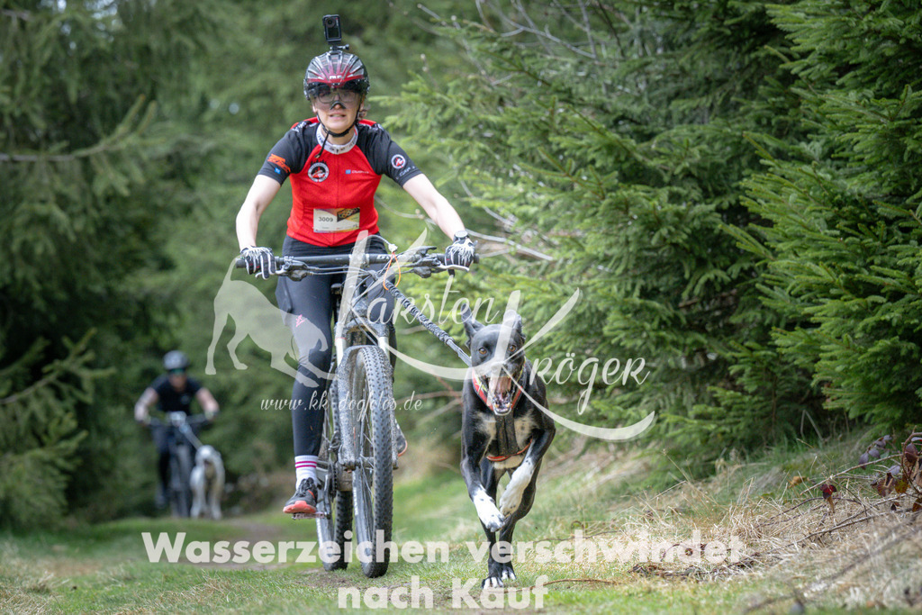 1311_ZZ93882 | kk-dogfotos