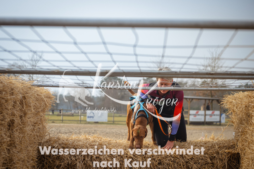 1019_ZZ94025 | kk-dogfotos