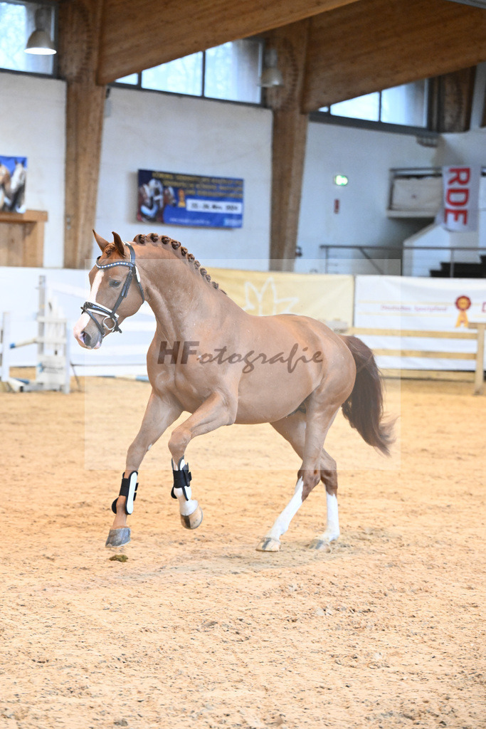 Kat-Nr. 25 v. Baggio_Heiterreiter GmbH_6240477 | hf-fotografie - Realisiert mit Pictrs.com
