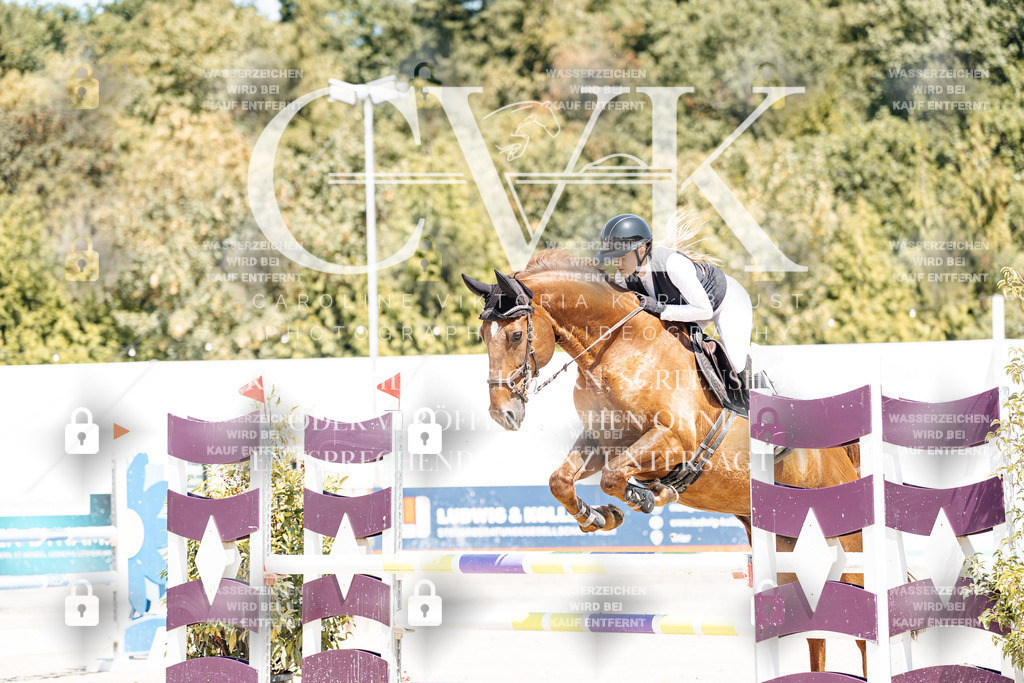 CK900431 | Turnierfotografie Pferdefotografie Trier Rheinland-Pfalz Pferdesport Reitsport Tierfotografie Sportfotografie Pferdevideo Pferdevideografie Equestrianvideography equestrianphotography  - Realisiert mit Pictrs.com