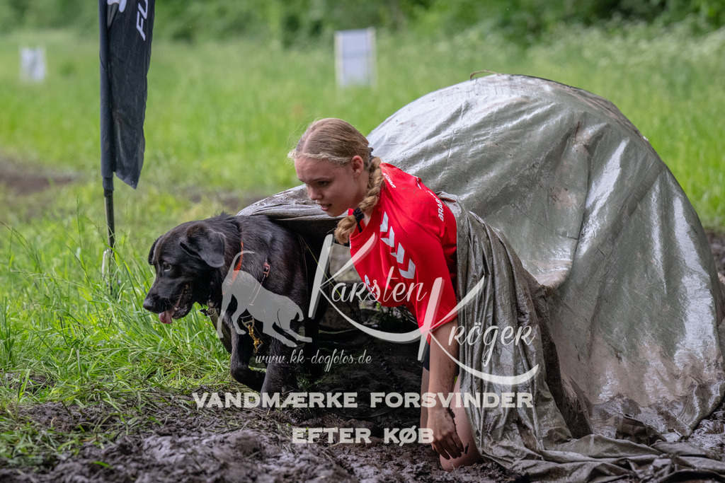 1630_ZZ94393 | kk-dogfotos