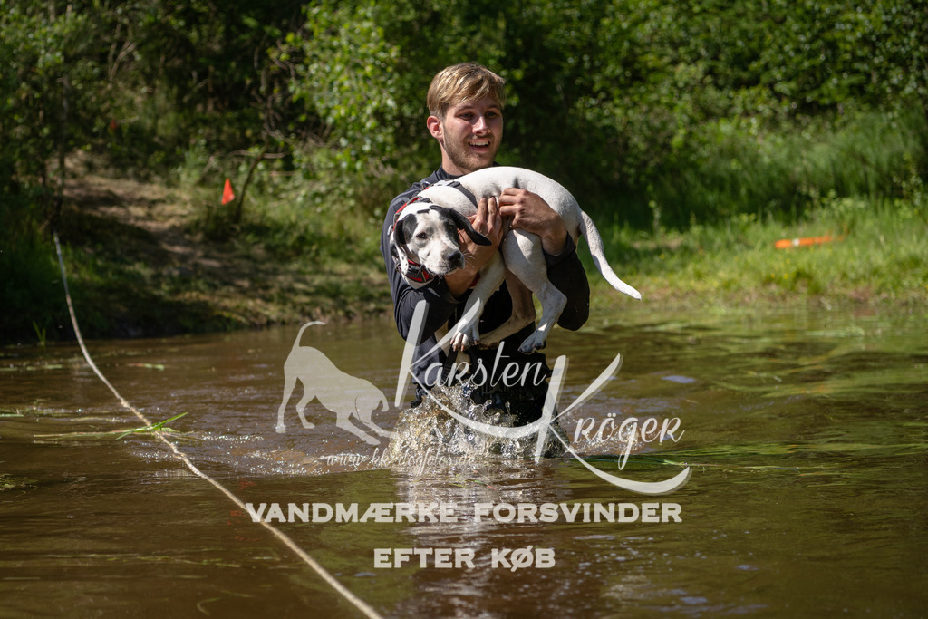 1515DKK992703 | kk-dogfotos