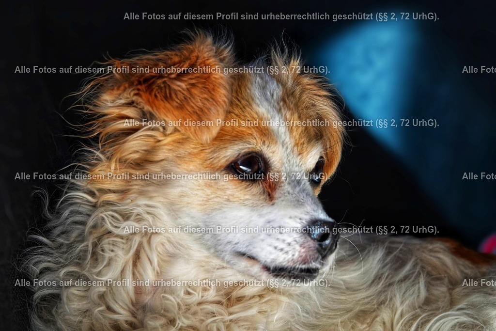 BMF04687-01_2-01 | krollfotografie - Realisiert mit Pictrs.com