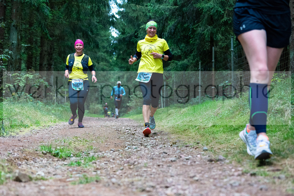 Rennsteiglauf 2021 | Marathon Neuhaus/Rwg. - Schmiedefeld