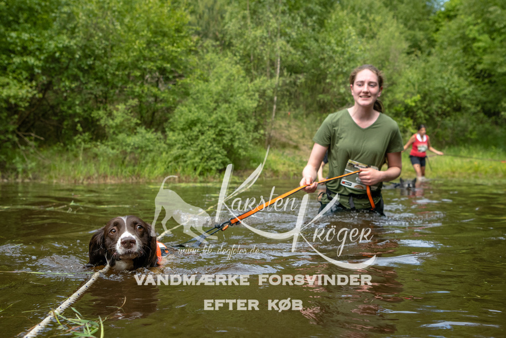 1116DKK994582 | kk-dogfotos