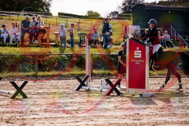 2026_10_03_Siefer-Hof_145705_Z81_38345911 | Professionelle Reitsport-, Turnier- und Eventfotografie von Robert Broda. Galerien mit ausgewählten und bearbeiteten Bildern direkt online ansehen und bestellen.