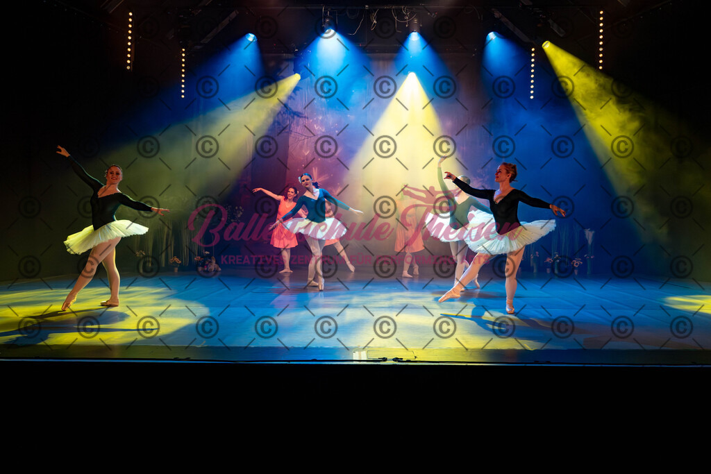 Ballettaufführung-75 | Bildershop Lem'n Entertainment - Realisiert mit Pictrs.com