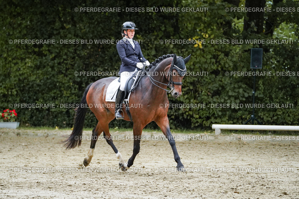 DSC00273 | Pferdegrafie