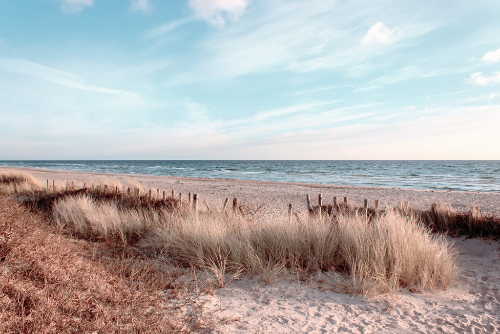 Wandbild: Stranhafer am Sandstrand in dezenten Farben | Dieses Wandbild zeigt einen wunderschönen Sandstrand am Morgen. Der Weg an den Strand verläuft an einem kleinen Feld mit Strandgras vorbei. Der Himmel scheint in einem dezenten hellblau. Am Himmel befinden sich einige Schleierwolken, die neben Weiß auch noch einen leichten Rotton vom Morgenrot aufweisen. Dieses Wandbild wirkt warm mit dezenten Sand-, Beige- und Brauntönen sowie Elegant durch den malerisch pastellartigen Himmel. Holen Sie sich dieses traumhafte Strandmotiv in dezenten Farben auf Leinwand, auf Aluminium-Platte oder Acrylglas. Ideal fürs Wohnzimmer, Schlafzimmer, Küche, den Arbeitsplatz oder die Ferienwohnung. Die Wandbilder werden individuell für Sie in vielen Abmessungen produziert. Daher passen die Ostseekult Wandbilder immer perfekt an Ihre Wände.  - Realisiert mit Pictrs.com
