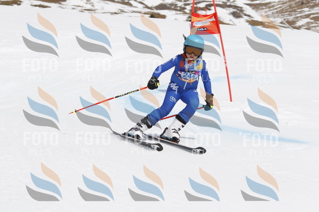 _U3G2778 | holidayphoto