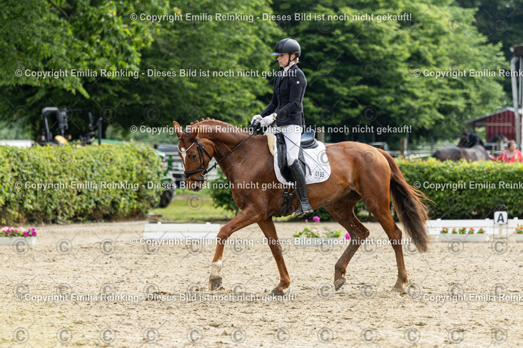 CL5A4578 | Emilia Reinking Fotografie - Realisiert mit Pictrs.com