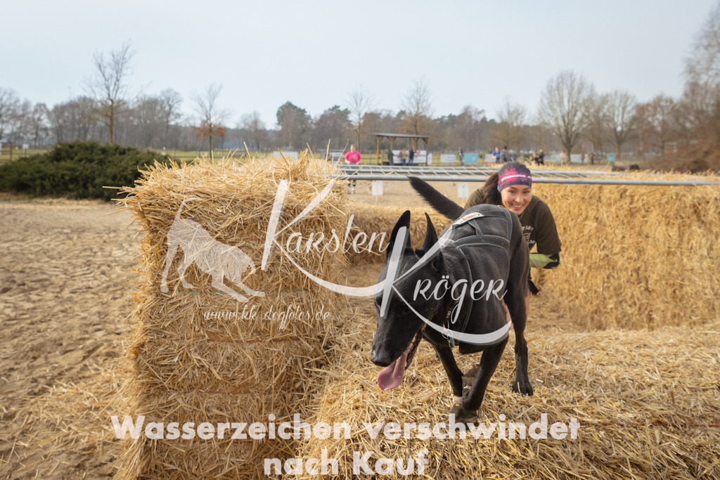 1031_ZZ95987 | kk-dogfotos