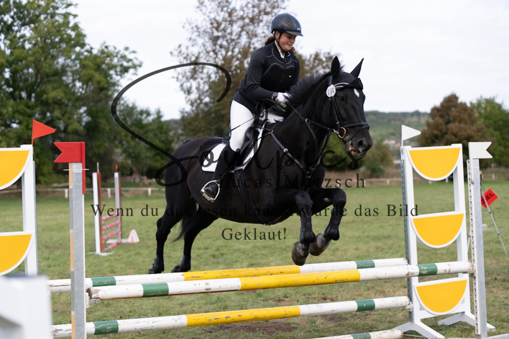 A7V06482 | Pferdefotograf