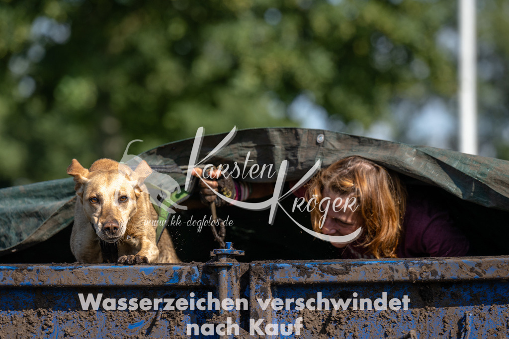 1429_ZZ91274 | kk-dogfotos