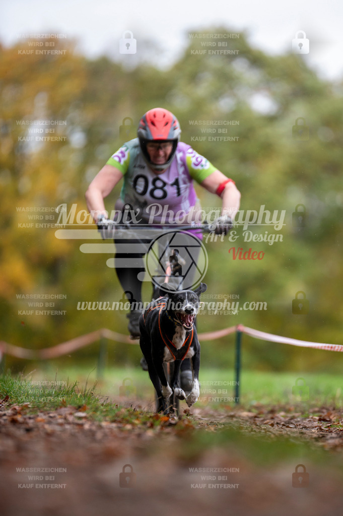 DBT_DAKM_SA_4_11_2023_Bike-31 | PayLife