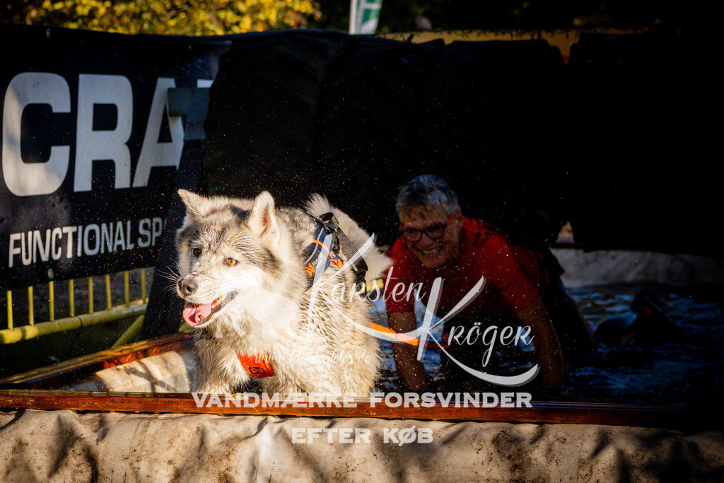 0935_ZZ91420 | kk-dogfotos