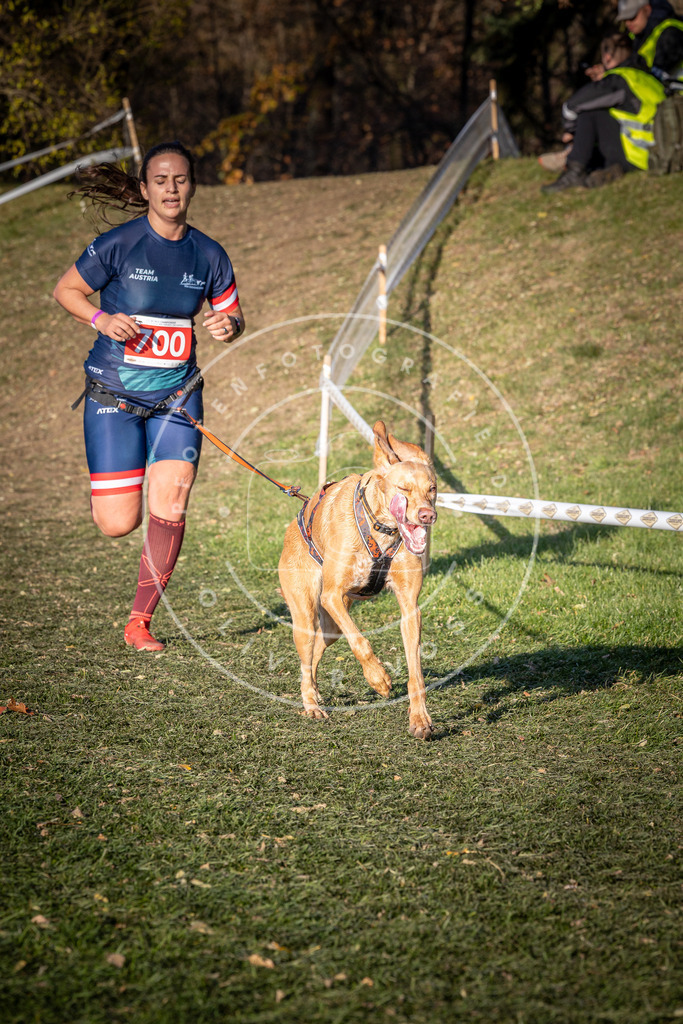 CaniXpix_0L8A9450 | Hundefotografie, Tierfotograf, Pfotenfotografie, Fotoshooting Hund, Hunde Portrait, Hundesport, Hundeportraits, Heideshooting, Hunde, Sportfotograf, Hundefotograf, Turnierhundsport, THS,  - Realisiert mit Pictrs.com
